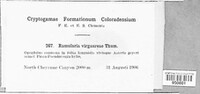 Image Associated With the Occurence